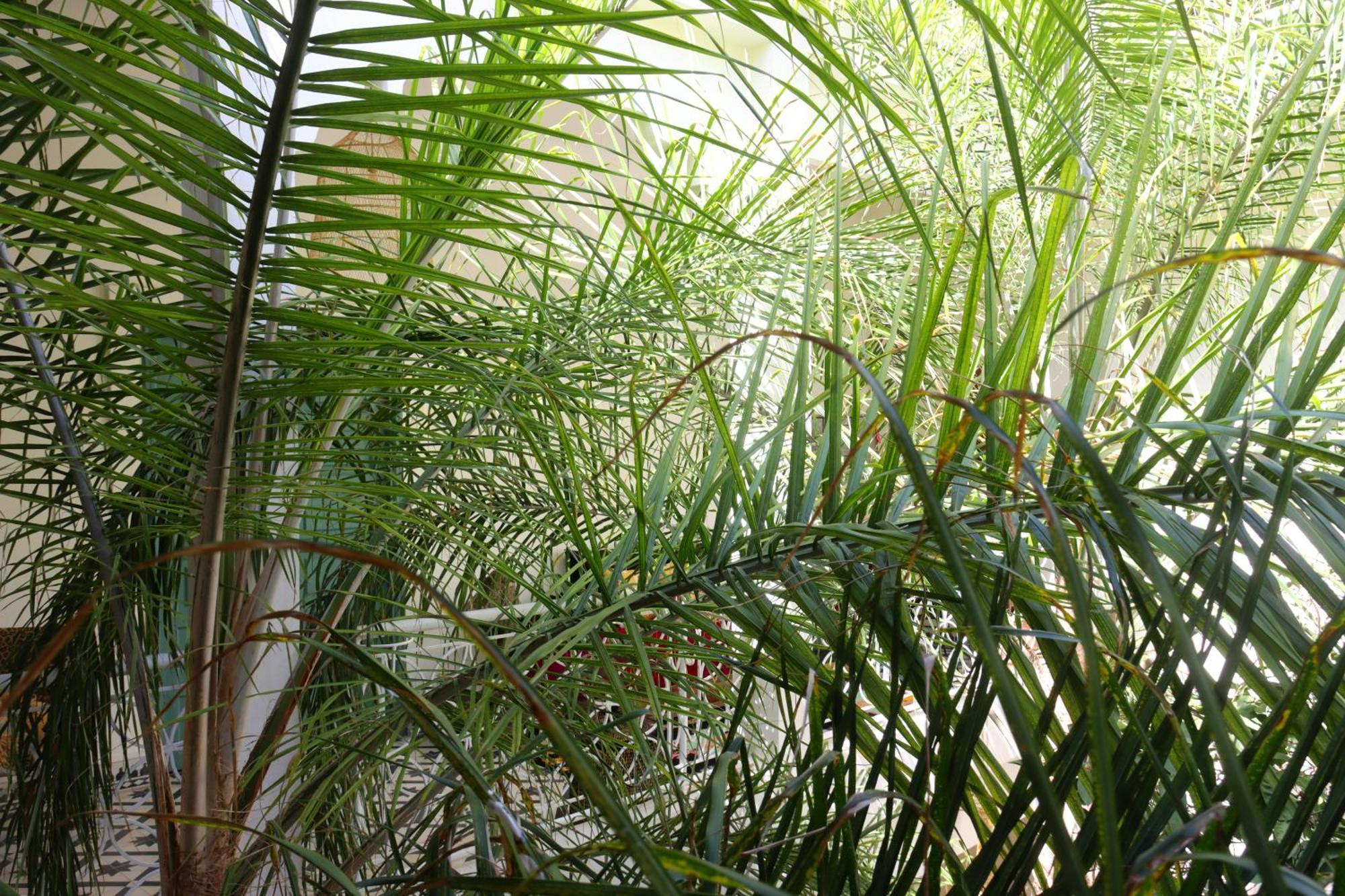 Riad Naanaa Bed & Breakfast Marrakesz Zewnętrze zdjęcie